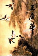 中国当代名家画集 王广华
