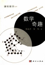趣味数学丛书 数字奇趣