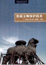 铁质文物保护技术
