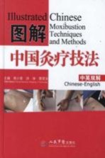图解中国灸疗技法