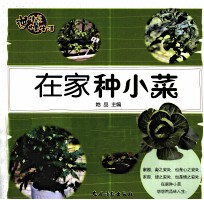 逆生长慢生活 在家种小菜
