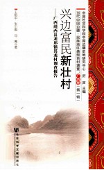 兴边富民新壮村 广西靖西县龙邦镇其龙村调查报告