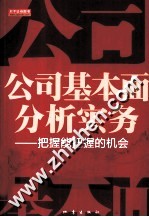 公司基本面分析实务 把握能把握的机会