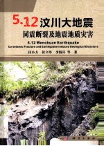 5.12汶川大地震同震断裂及地震地质灾害