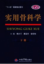实用骨科学 下