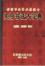 楷行草隶篆五体注音 实用书法大字典