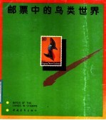 邮票中的鸟类世界
