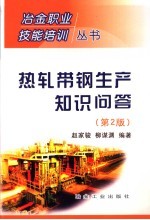 热轧带钢生产知识问答 第2版