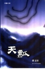 天瓢 长篇小说