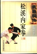 武当秘传松溪内家拳 上
