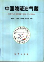 中国隐蔽油气藏