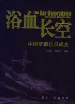 浴血长空 中国空军抗日战史