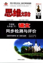 思维大革命 初中语文同步检测与评价 九年级 苏教版 下