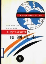 天然气藏识别与预测技术