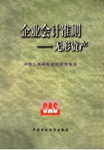 企业会计准则 无形资产