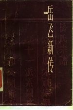 岳飞新传