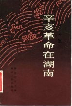 辛亥革命在湖南 论文集