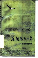 展翅高飞的鸟 丁玲的青年时代