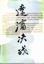 辽沈决战 续集