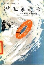 冲进暴风雨 一个救生艇长的真实故事