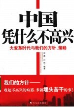 中国凭什么不高兴 大变革时代与我们的方针、策略