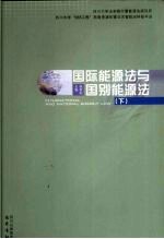 国际能源法与国别能源法  下