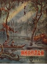 神秘的热带森林