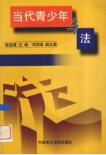 当代青少年与法