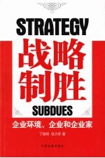 战略制胜:企业环境、企业和企业家