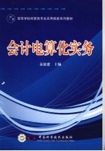 会计电算化实务