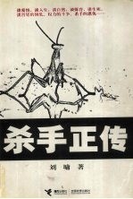 杀手正传