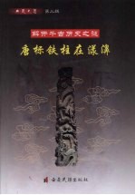 解开千古历史之谜:唐标铁柱在漾濞