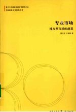 专业市场:地方型市场的演进