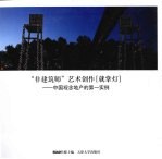 “非建筑师”艺术创作 就掌灯 中国观念地产的第一实例
