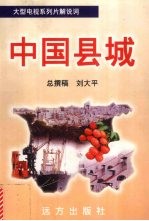 中国县城 1