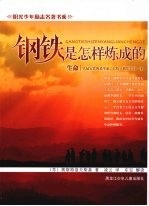 钢铁是怎样炼成的