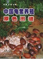 中国龟鳖养殖原色图谱