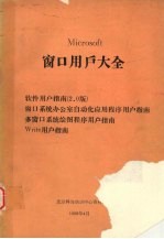 microsoft窗口用户大全