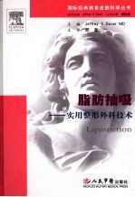 脂肪抽吸:实用整形外科技术