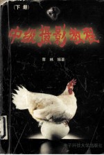 中级摄影教程 下