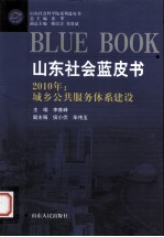 2010年城乡公共服务体系建设