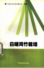 白哺鸡竹栽培