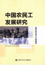 中国农民工发展研究