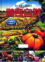 幼儿情景认知翻翻书 神奇自然