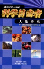 人造奇观