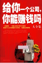 给你一个公司,你能赚到钱吗?大全集
