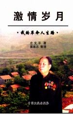 激情岁月 我的革命人生路