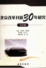 北京改革开放30年研究 文化卷
