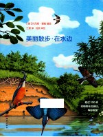 “美丽散步”自然科普绘本系列 美丽散步 在水边