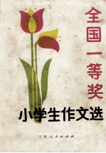 全国一等奖小学生作文选